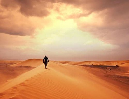 CAMINO, VERDAD Y VIDA