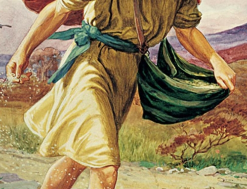 EL SEMBRADOR